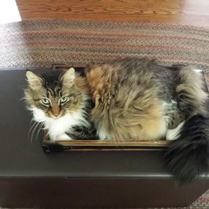 Meet your Posher, Mary